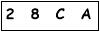 salt-1E46E5A7