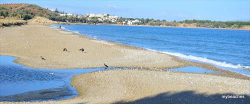 1-DSC_0032.JPG