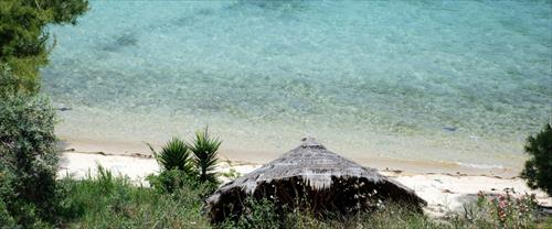 FTEROTI 3872x2592-1.JPG