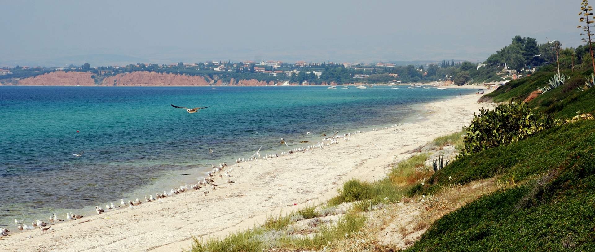 Καρνάγιο Ποτίδαιας, Χαλκιδική, Ελλάδα