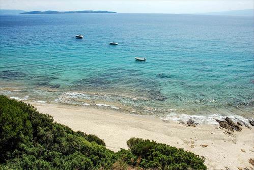 KASTRI (SIGGITIKOS)  (12)