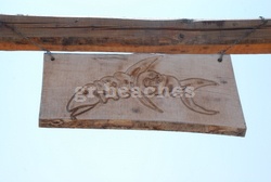 BARACUDA 1