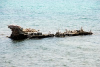 WEST POTIDEA 4