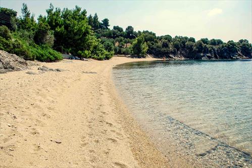 KOCHILIA 3872x2592-13