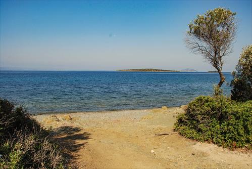DIAPORTI 3872x2592-12