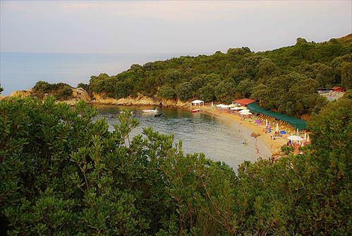 ZOUGLA (6)