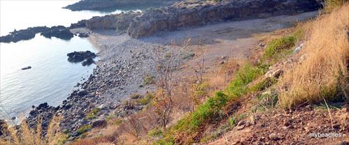 1-DSC_0116.JPG