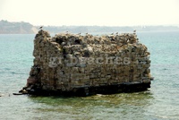WEST POTIDEA 2