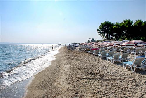 HANIOTIS 3872x2592-4