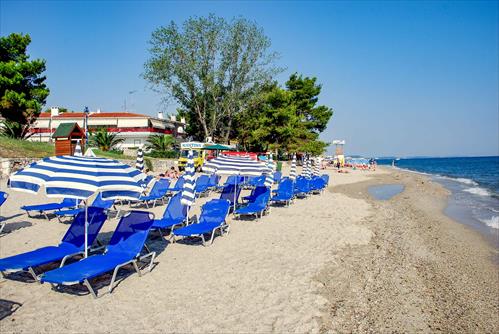 HANIOTIS 3872x2592-25
