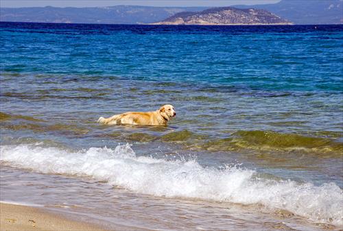 GOLDEN BEACH 3872x2592-20