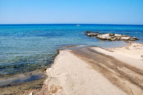 DELFINIA 3872x2592