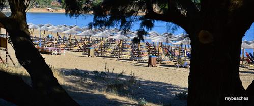 1-DSC_0078.JPG