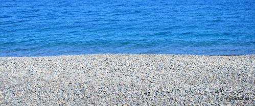 1-DSC_0339-001.JPG