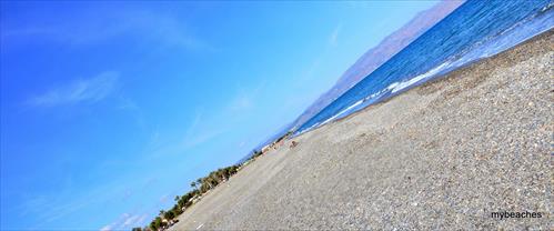 1-DSC_0224.JPG