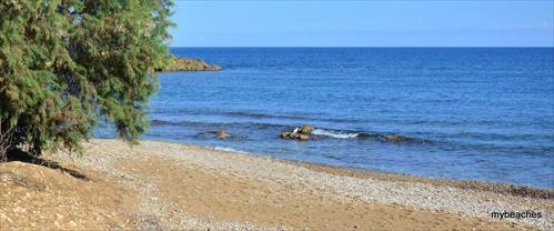 1-DSC_0132.JPG