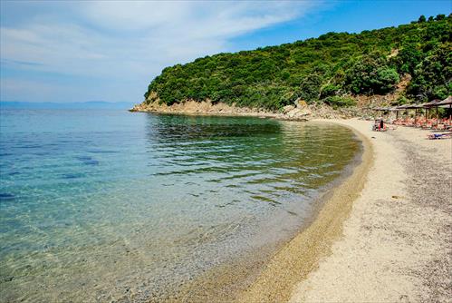 BANANA or rodia BEACH  (12)