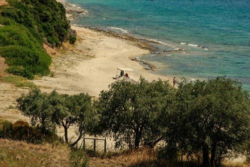 KASTRI (SIGGITIKOS)  (15)