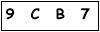 salt-9288CA56