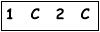 salt-689A4764