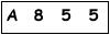 salt-995242B2