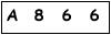 salt-31353BED