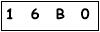 salt-CB0B8534