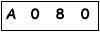 salt-D33C8588