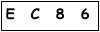 salt-957E5854