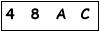 salt-EC3A2162