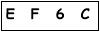 salt-278B20DB